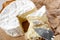 Camembert cheese traditional Normandy French, dairy product