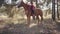 Camera approaching happy Caucasian female equestrian lying on horseback and caressing her pet. Beautiful brown horse