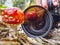 Camera at dotted cap of red mushroom makes nice mirroring