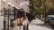 Camera follows girl with backpack walking along sunny New York street, living a casual happy lifestyle slow motion.