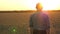 The camera follows a man walking a farmer on a wheat field at sunset.