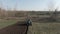 Camera follows tractor furrowing fertile field. Wide shot of agricultural machine working on fertile Ukrainian black