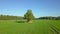 Camera goes on the big tree in the green field