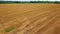 Camera goes up on the straw field