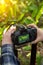 Camera on hands closeup. Making nature landscape photo and video with green plants leaves in sunlight