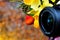 Camera lens, summer flowers on the background of rainbow lights bokeh. Lensâ€”creates an artistic image. Garden summer flowers