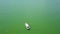 Camera lock on speed boat cruising in sea, fly drone shot 4k