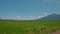 Camera Moves along Road past Rice Fields against Sky in Vietnam