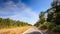 Camera Moves along Sunny Highway past Thick Plants