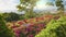 Camera moves between colorful flowers in botanical garden of Funchal, Madeira. Gorgeous sunny view of the diverse