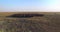 Camera moving forward over flock of black and white sheeps in Ukrainian steppe at sunset