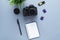 camera, notebook, pen, memory cards on a blue background, the concept of studying