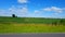 Camera pan of beautiful lush agricultural farm foliage with traffic and residential homes in the distant background.  Summer day