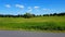 Camera pan of beautiful lush golf course foliage. Summer day grass field with golfers and golf cart, golf car drive