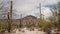 Camera quickly tilts up on big Saguaro cacti growing under hot sunny desert hill in natonal park near Tucson Arizona USA