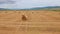 Camera rising and revealing field of straw bales