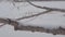 The camera slides along the Thick Branch of a fallen tree covered in snow