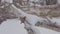 The camera slides along the Thick Branch of a fallen tree covered in snow