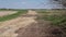 Camera slides to reveal country dirt road next to rural farmland