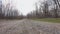 Camera slowly glides over a country gravel road among bare, leafless trees
