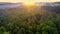 Camera slowly rises flying over the lush forest