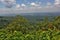 Cameron Bluff Overlook at Mount Magazine