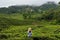 The Cameron Highlands the Garden of Malaysia