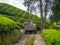 Cameron Highlands Valley, Malaysia :  tea plants plantation farm, Malaysia hills industry workers