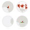 Cameroon, Canada, Cape Verde, Central African Republic map contour and national flag in a circle