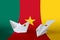 Cameroon flag depicted on paper origami airplane and boat. Handmade arts concept