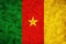 Cameroon flag in grunge vintage style