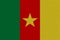 Cameroon flag painted on paper