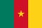 Cameroon flag vector.Illustration of Cameroon flag