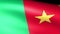 Cameroon Flag Waving