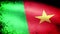 Cameroon Flag Waving, grunge look