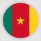 Cameroon Flat Rounded Flag Vector