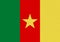 Cameroon paper flag