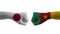 Cameroon VS Japan hand flag Man hands patterned football world cup