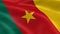 Cameroonian flag in the wind