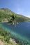 Camiguin island palm tree philippines