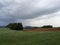 Camino de Santiago / Day 6 / Fields and Sky in Navarra, Spain