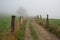 Camino Primitivo, Asturias, Spain