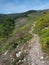 Camino Primitivo, Asturias, Spain