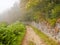 Camino track disappearing in the fog - O`Cebreiro