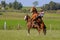 CAMINOS, CANELONES, URUGUAY, OCT 7, 2018: Gaucho riding on a wild untamed horse at a Criolla Festival in Uruguay
