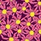 Camomile background. Pattern with daisy. Print for textile, vector.