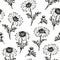 Camomile floral seamless background