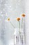 Camomile flowers in a glass vase in front of a rain covered window