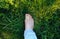 Camomile flowers are in the toes. Man feet standing in the grass. Nature harmony concept. Sunny summer photo. Travel barefoot flat