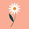 The camomile plant icon. One chamomile. Natural floral element of the design of postcards, posters, greetings. Isolated